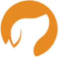 SagVPN Logo